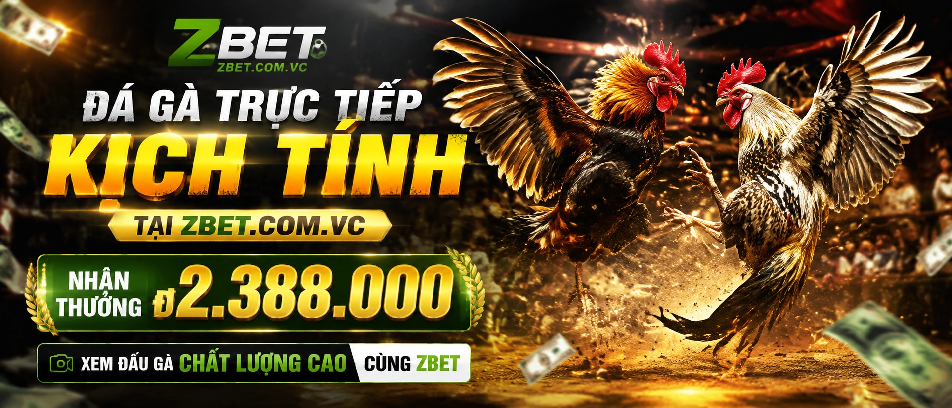 Đá Gà Trực Tiếp nổi bật